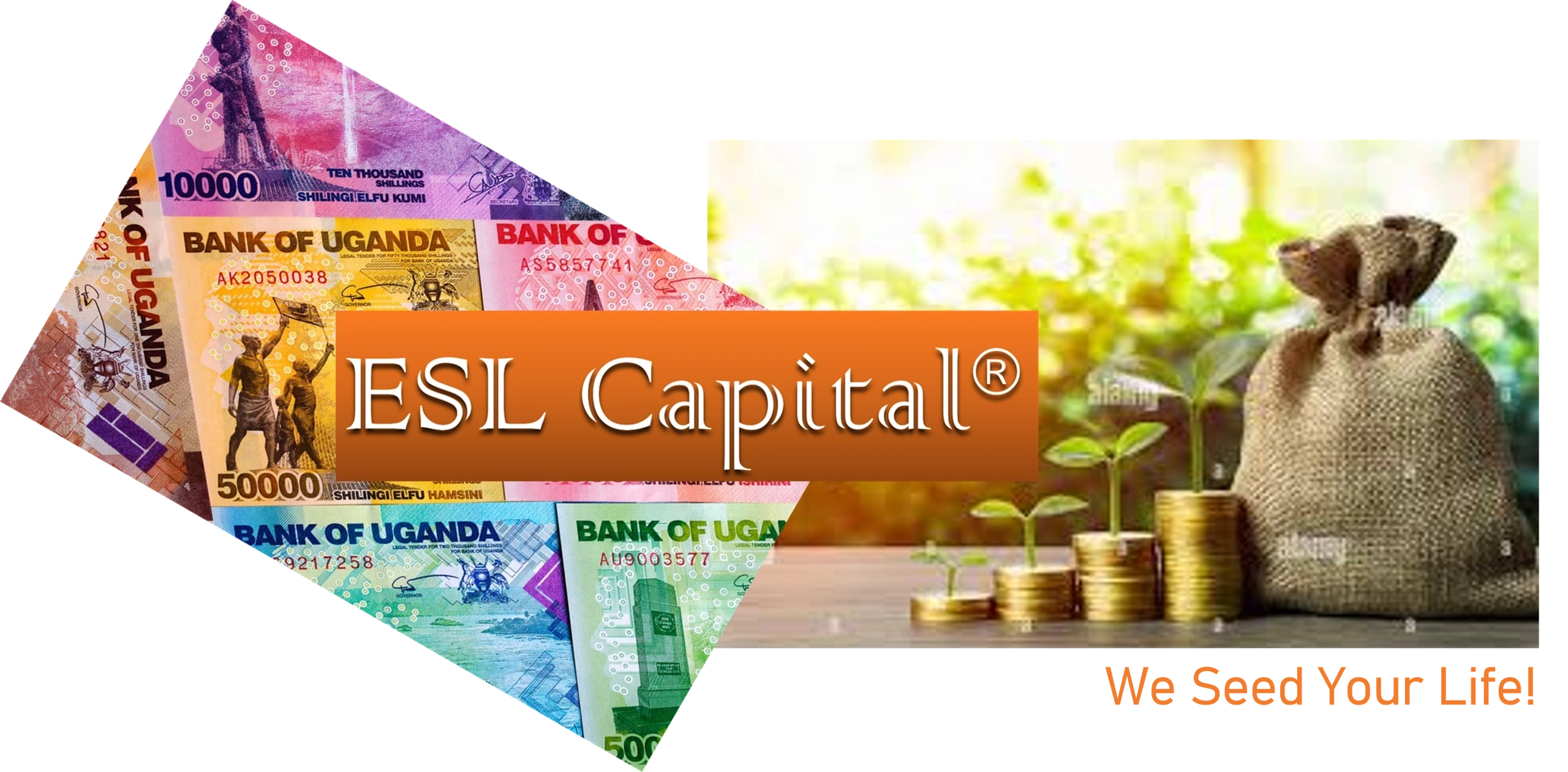 ESL Capital financial services