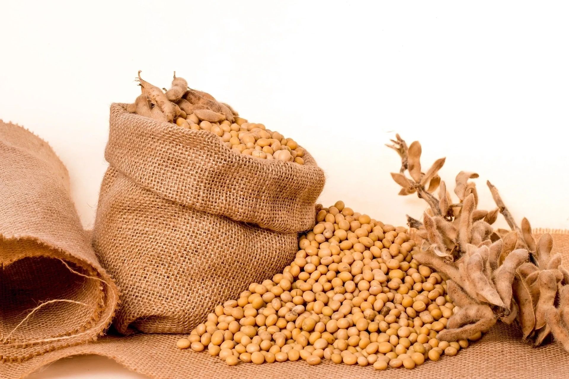 Agricultural produce — chickpeas and legumes